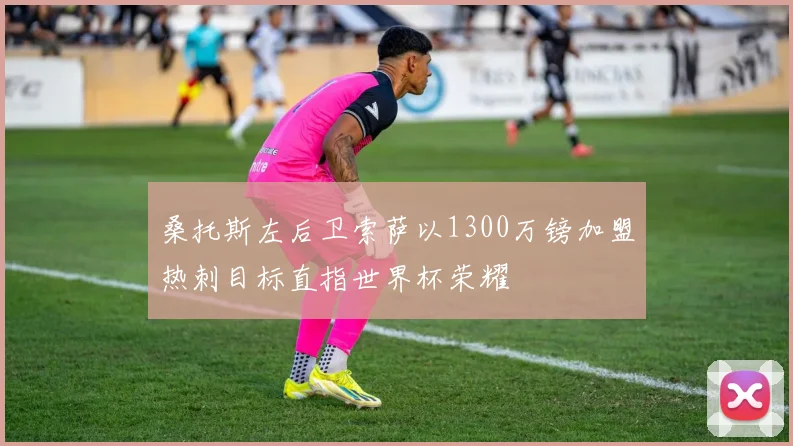 桑托斯左后卫索萨以1300万镑加盟热刺目标直指世界杯荣耀