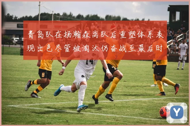 青岛队在杨瀚森离队后重塑体系表现出色尽管被淘汰仍奋战至最后时刻